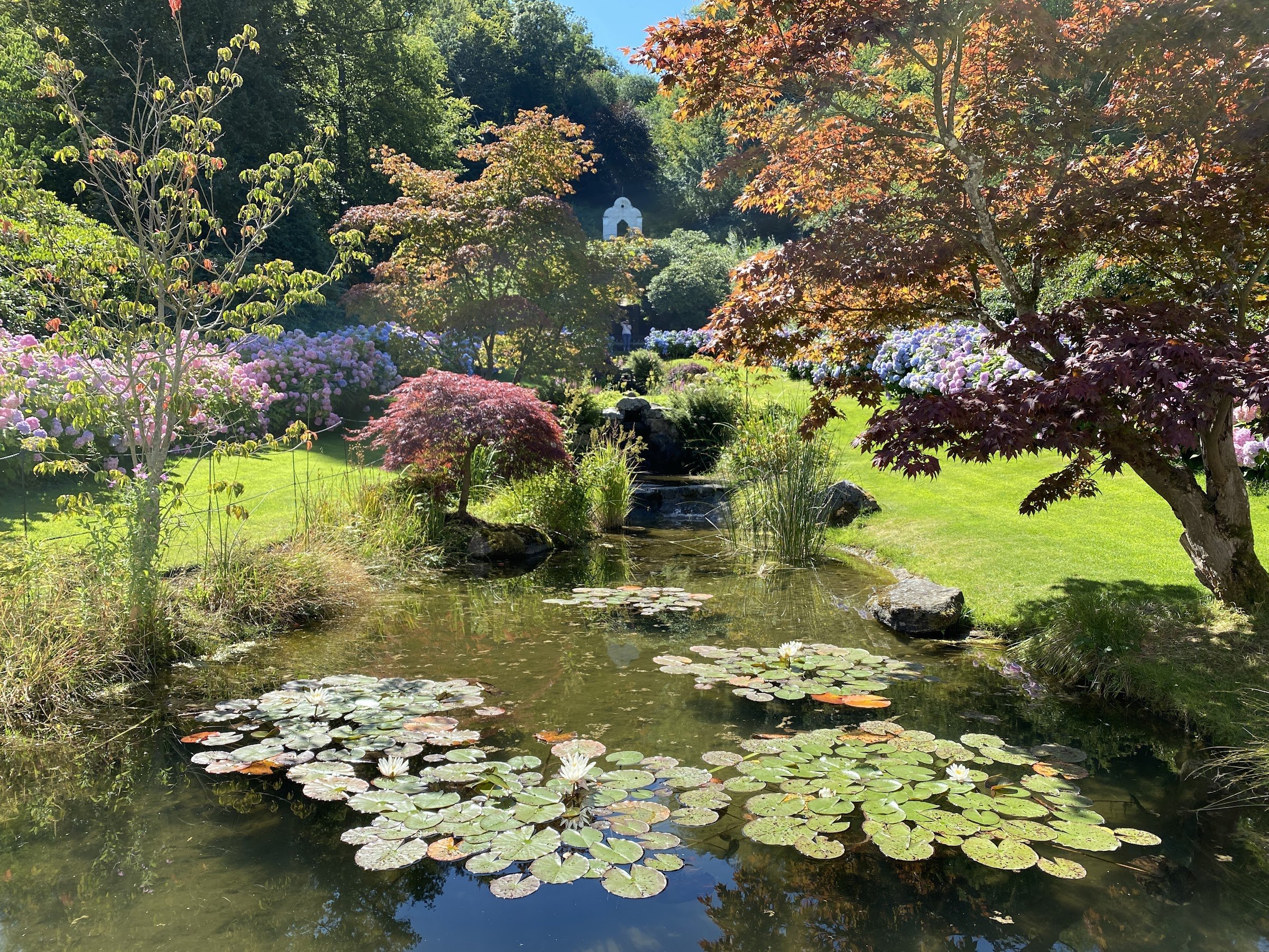 Norrviken Gardens (Norrvikens trädgårdar)